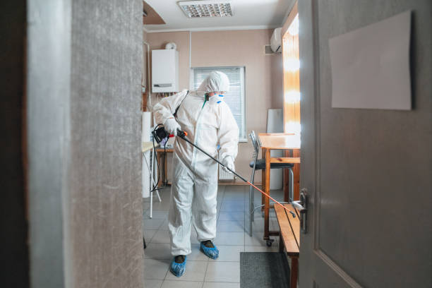Best Water Damage & Mold Remediation  in Dakota City, NE