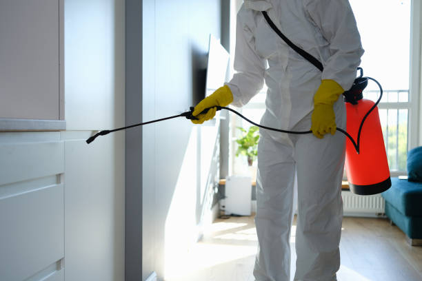 Best HVAC Mold Inspection and Cleaning  in Dakota City, NE