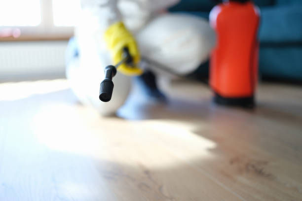 Reliable Dakota City, NE Mold Removal Solutions