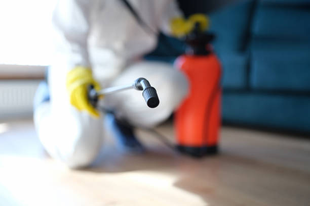 Best Mold Remediation for Healthcare Facilities  in Dakota City, NE